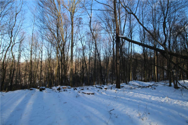 LOT 169 SQUIRREL RD, EVANS CITY, PA 16033, photo 3 of 7