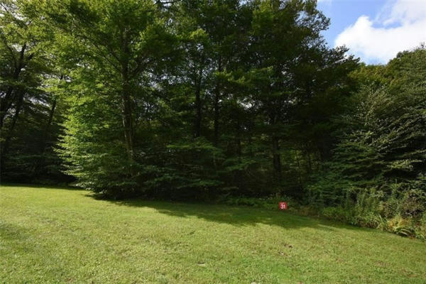 LOT 31 GROUSE POINT, CHAMPION, PA 15622 - Image 1