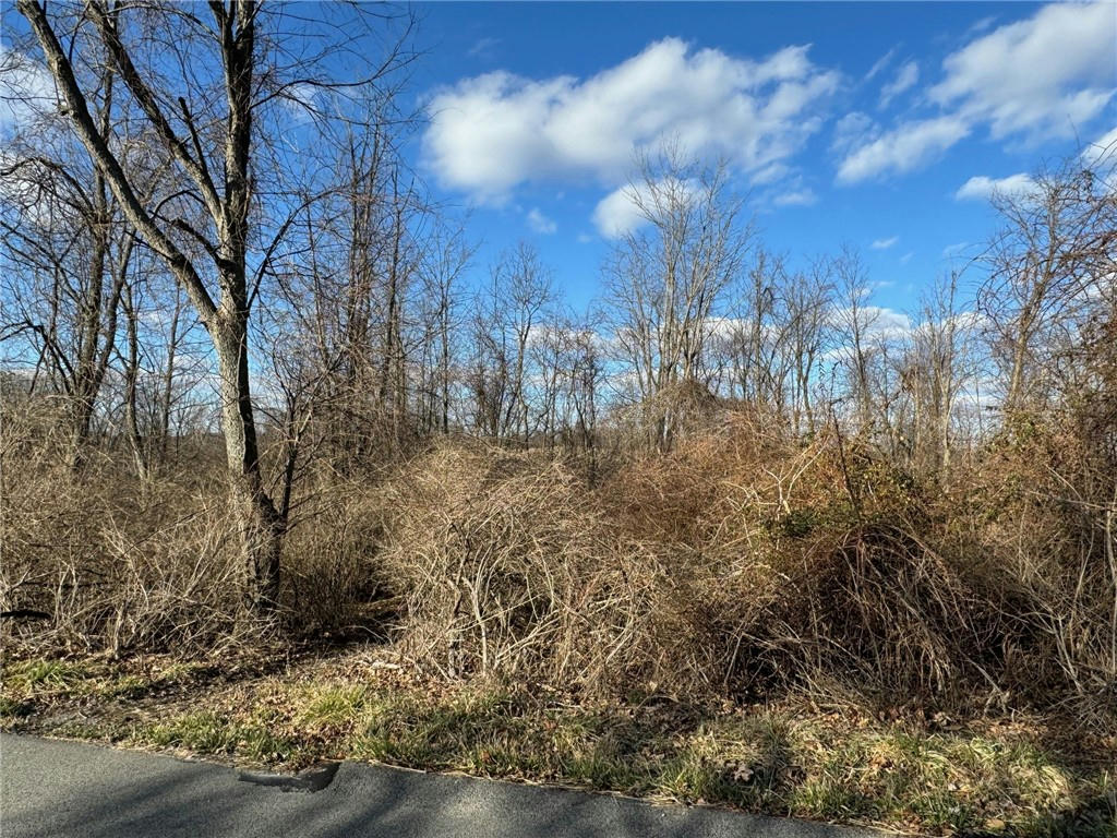 LOT 14 ANDREWS AVENUE, 15627, PA 15627, photo 1 of 2