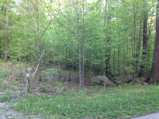 LOT 28 GROUSE POINT, CHAMPION, PA 15622, photo 3 of 4