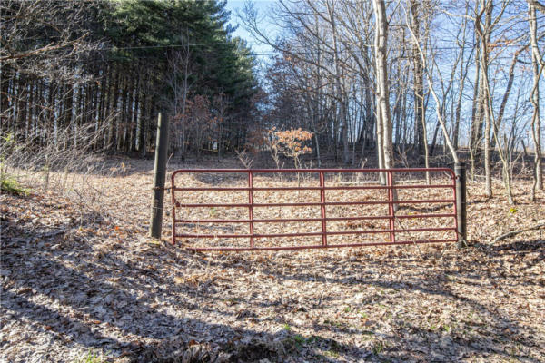 0 CLOVER TOP RD, MARKLEYSBURG, PA 15459 - Image 1