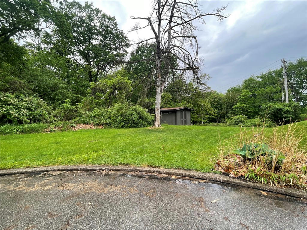 Supporters of Murrysville 'tree sign' updates estimate $100,000 in