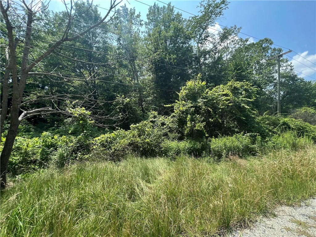 LOT 4 ROGERS ROAD, NEW CASTLE, PA 16101, photo 1