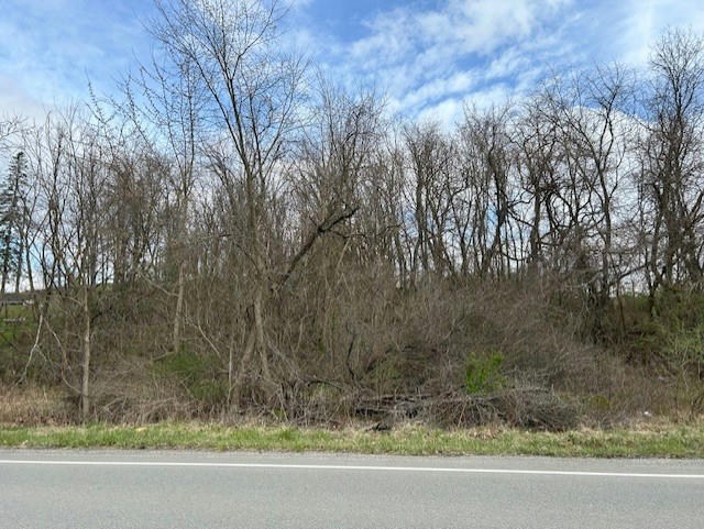 LOT 9 COYLE CURTAIN, 15063, PA 15063, photo 1 of 4