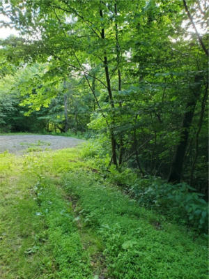 LOT6 HANNA ROAD, NEW FLORENCE, PA 15944, photo 2 of 3