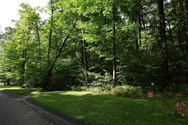 LOT # 30 GROUSE POINT, CHAMPION, PA 15622 - Image 1