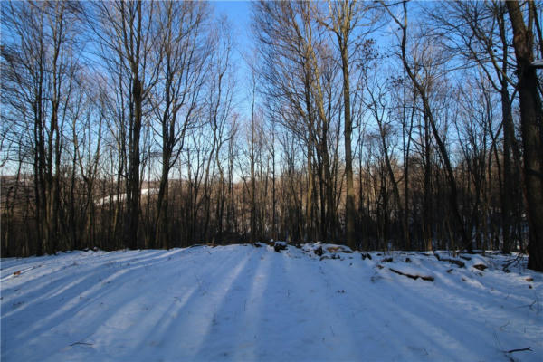 LOT 169 SQUIRREL RD, EVANS CITY, PA 16033, photo 4 of 7